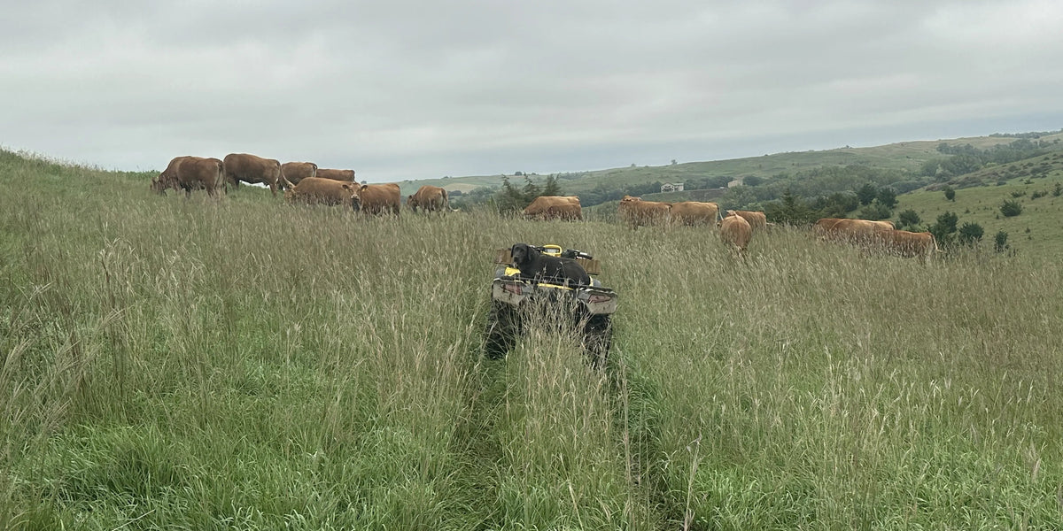 Are You Capturing God’s Gift of Late Season Rains?