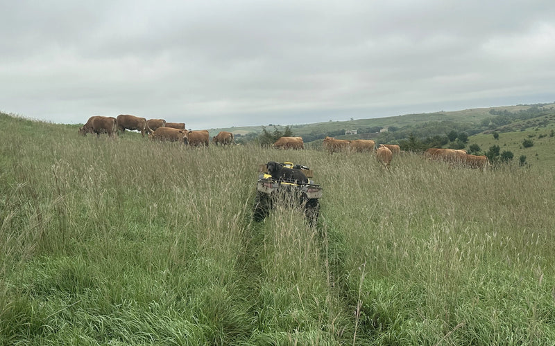 Are You Capturing God’s Gift of Late Season Rains?
