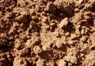 A photo of bare soil