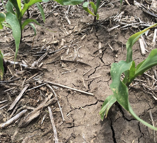 The Drought-Resilient Farm