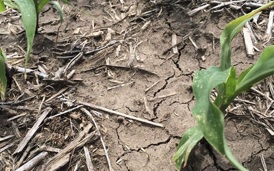 The Drought-Resilient Farm