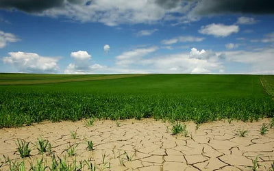 Creating Drought Resilience
