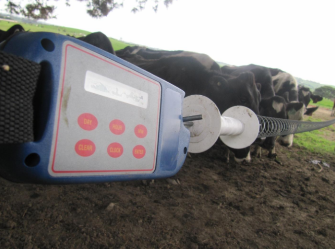 Pasture Management for Horses: Stocking Rates and Forage Selection