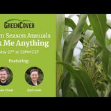 Warm Season Cover Crop Species: Q&A on Sorghum-Sudangrass, Cowpeas, and More