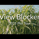 View Blocker Food Plot Blend: Tall Sorghum Screen for Deer Privacy