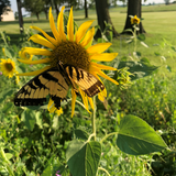 How Rick Clark Is Rethinking Diversity On His Regenerative Organic Farm