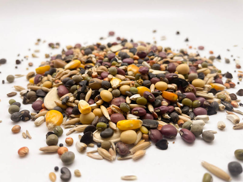 Diverse mix of cover crop seed
