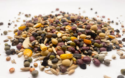 We're Selling Certified Organic Seed!