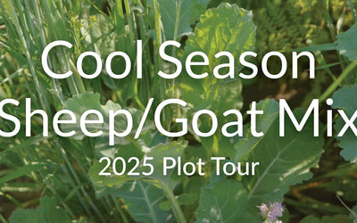 Cool Season Sheep and Goat Grazing Mix: Spring and Fall Forage