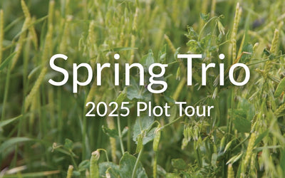 Spring Trio Mix: Oats, Barley & Peas for Fast Spring Growth