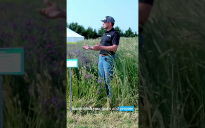 Pre-Corn Cover Crop Mix: Barley, Vetch, and Camelina for Spring Corn Planting