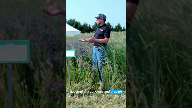 Pre-Corn Cover Crop Mix: Barley, Vetch, and Camelina for Spring Corn Planting