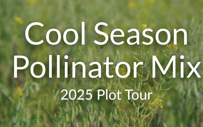 Cool Season Pollinator Mix: 15+ Flowers for Beneficial Insects