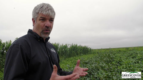 Forage Soybeans as a Cover Crop: Group 5 vs. Group 7 Varieties