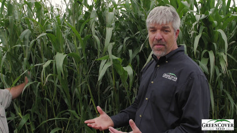 300 BMR Sorghum-Sudangrass for Grazing: Summer Growth in Test Plots