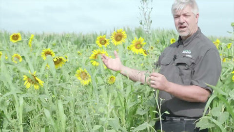 Warm Season Soil Builder Mix: 60 Days of Growth and Weed Control