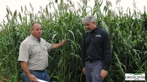 2120 Forage Sorghum for Summer Biomass