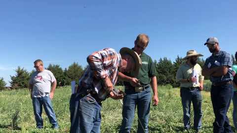 Carbon Cycling in Cover Crops: What Livestock and Plant Combinations Teach Us