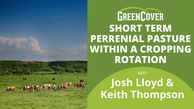 Adding Perennial Pastures to Your Crop Rotation