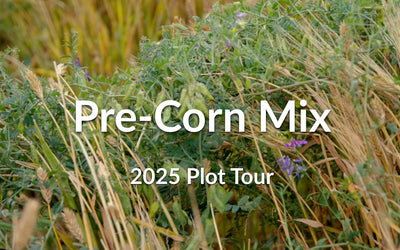 Pre-Corn Cover Crop Mix: Winter Barley, Hairy Vetch & Camelina