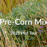Pre-Corn Cover Crop Mix: Winter Barley, Hairy Vetch & Camelina