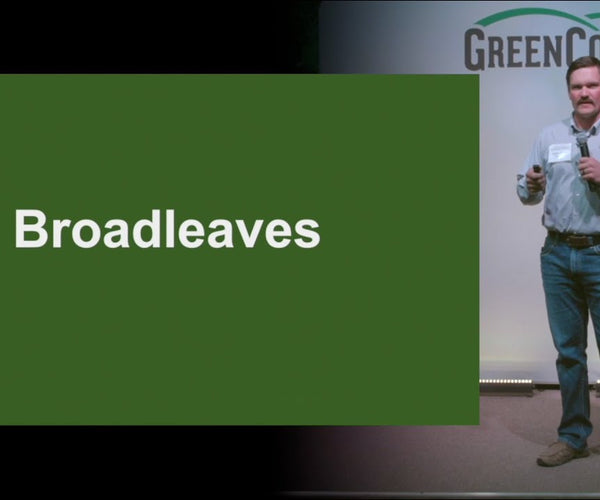 Broadleaf Cover Crops: Why They Matter in Your Mix – Green Cover