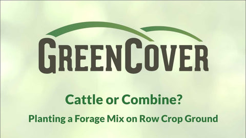 Grazing Forage Mixes on Row Crop Ground: A Cash Flow Alternative to Corn