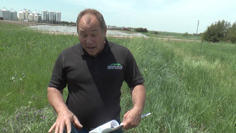 Perennial Forage Grasses and Legumes: A Field Tour