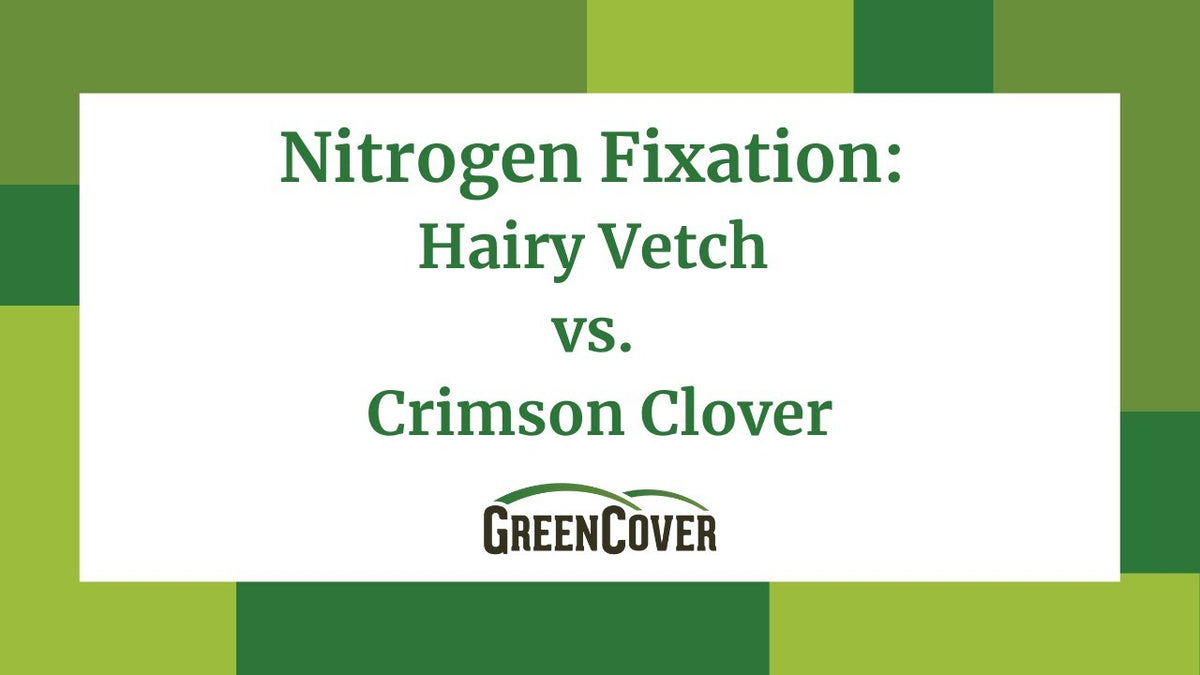 Hairy Vetch vs Crimson Clover for Nitrogen Fixation