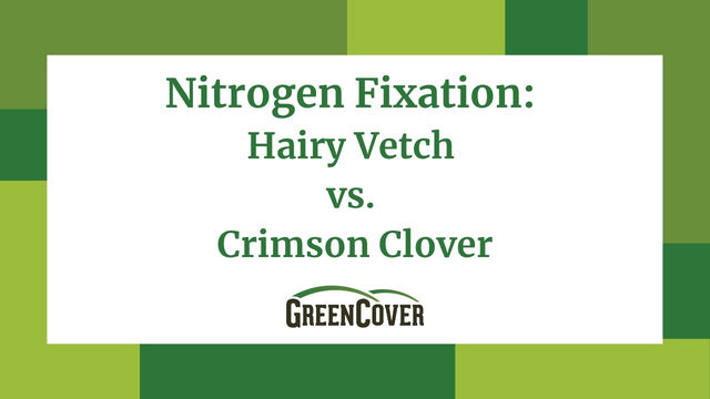 Hairy Vetch vs Crimson Clover for Nitrogen Fixation