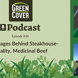 How to Raise Grass-Fed Beef with Steakhouse Quality and Medicinal Nutrients