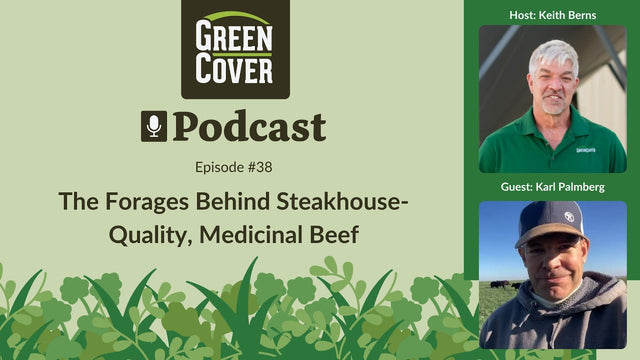 How to Raise Grass-Fed Beef with Steakhouse Quality and Medicinal Nutrients