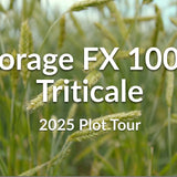 Forage FX 1002 Triticale: Cold-Hardy Beardless Variety for Dryland Forage