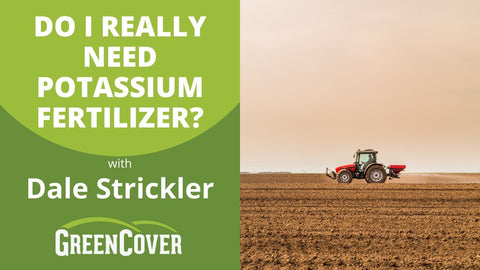 Do You Really Need Potassium Fertilizer? What Your Soil Test Isn't Telling You
