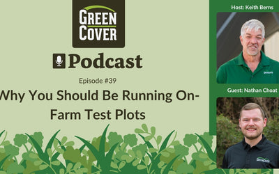 Why You Should Run Your Own Test Plots