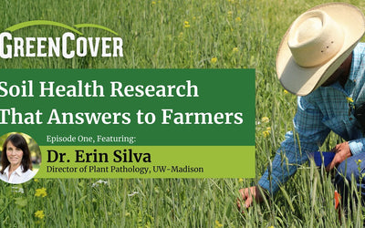 Cover Crops for Weed Control in Corn and Soybeans Without Herbicides