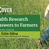 Cover Crops for Weed Control in Corn and Soybeans Without Herbicides