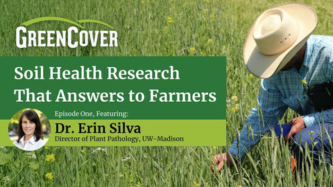 Cover Crops for Weed Control in Corn and Soybeans Without Herbicides