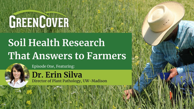 Cover Crops for Weed Control in Corn and Soybeans Without Herbicides