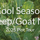 Cool Season Sheep and Goat Grazing Mix: What to Plant and How to Graze It