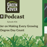What to Plant After Wheat Harvest: High-Quality Forage and Free Nitrogen