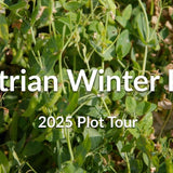 Austrian Winter Peas: Planting Deep for Winter Survival