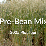 Pre-Bean Mix: Why Add Rapeseed and Flax to Your Rye Cover Crop