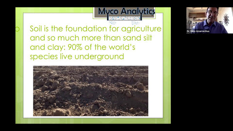 Mycorrhizal Fungi: How They Feed Your Plants and Boost Soil Health
