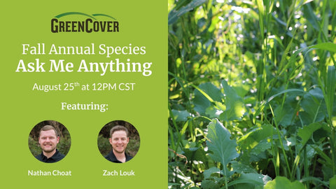 Fall Cover Crop Species: Your Questions Answered