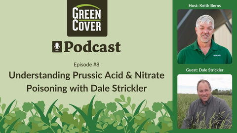 Prussic Acid and Nitrate Poisoning in Grazing Forages: What You Need to Know