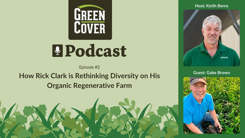 Plant Family Diversity: Rick Clark's Secret to Organic Weed Suppression Without Tillage