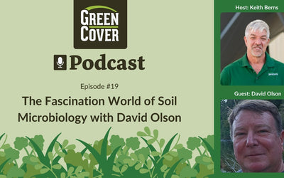 How Soil Microbes Fix Nitrogen and Build Crop Resilience