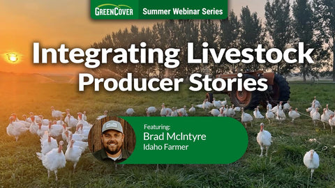 How Brad McIntyre Built a Direct-to-Consumer Livestock Operation