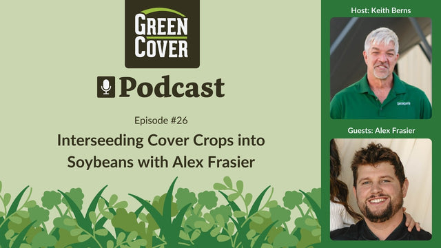 Interseeding Cover Crops into Soybeans: How Alex Frasier Boosted Yields and Cut Inputs